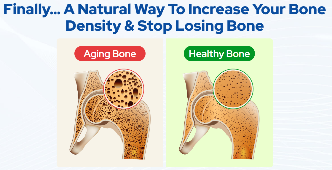 BioCal Bone Support